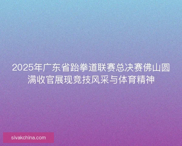 2025年广东省跆拳道联赛总决赛佛山圆满收官展现竞技风采与体育精神
