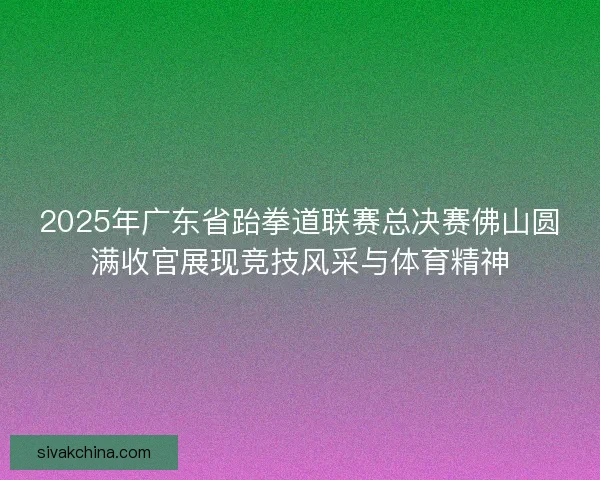 2025年广东省跆拳道联赛总决赛佛山圆满收官展现竞技风采与体育精神